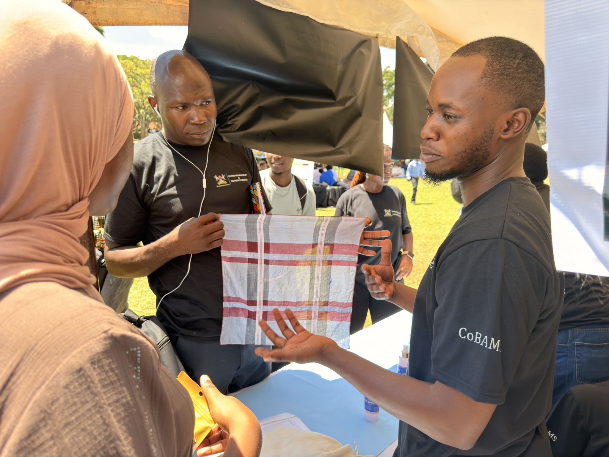 Iron Spray Demonstrated by Students
